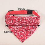 Collier chat bandana - Vignette | ChatMour