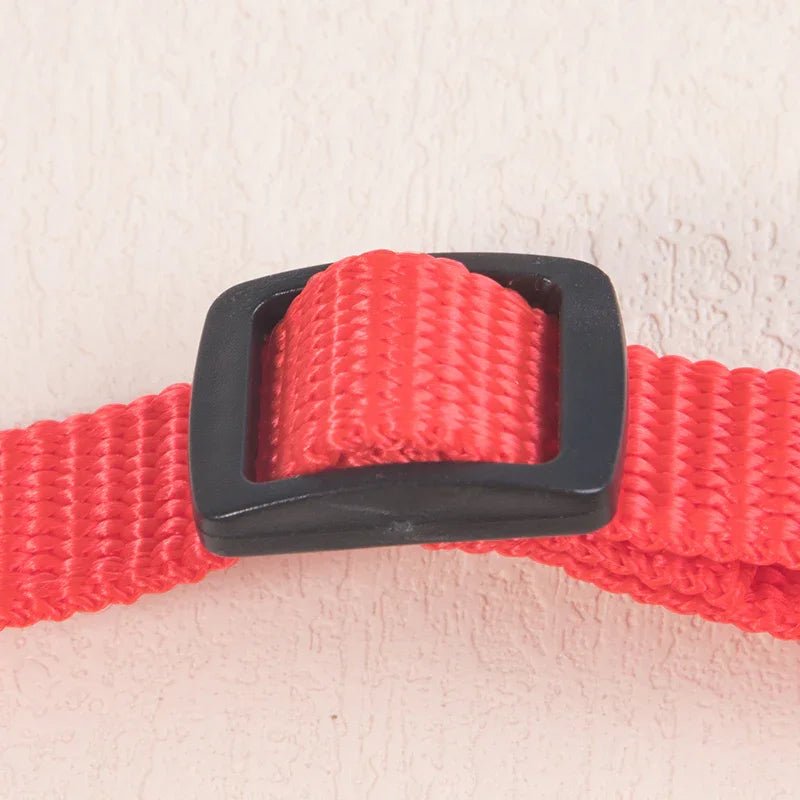 Collier chat bandana - ChatMour