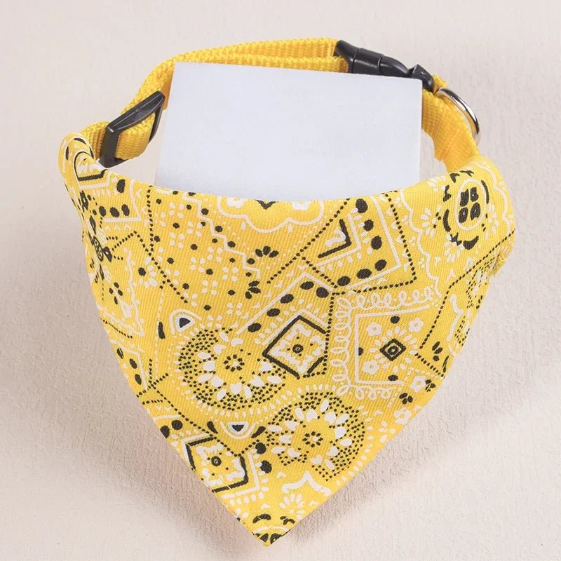 Collier chat bandana - ChatMour
