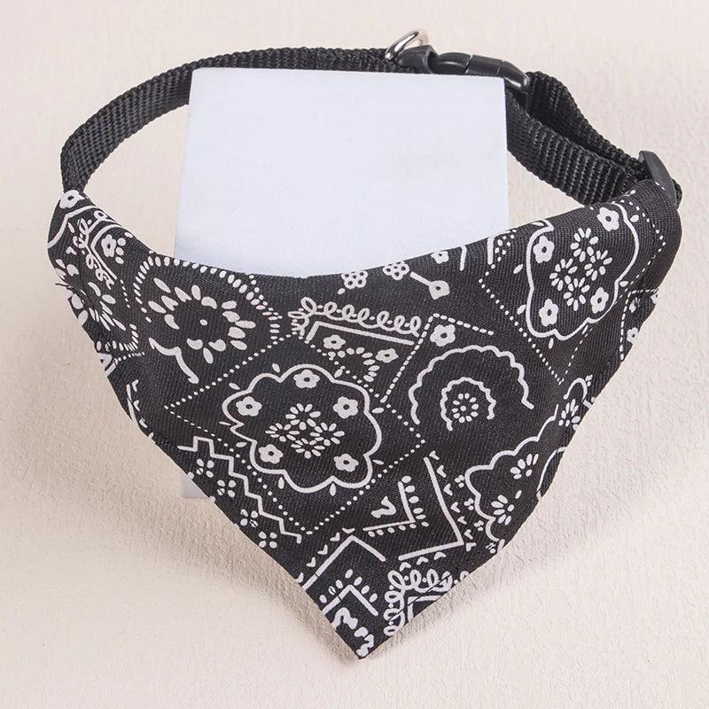Collier chat bandana - ChatMour