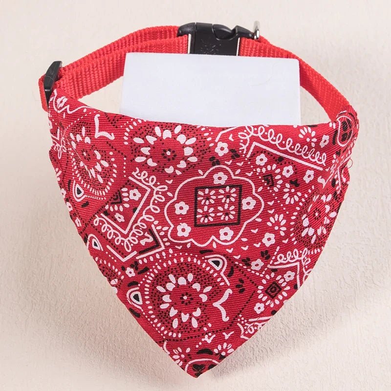 Collier chat bandana - ChatMour