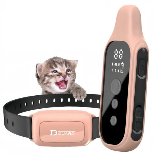 Collier chat connecté - ChatMour