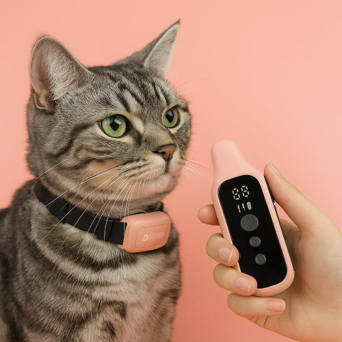 Collier chat connecté fond rose 