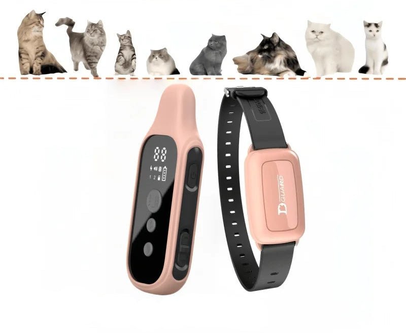 Collier chat connecté - ChatMour