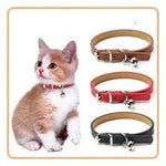 Collier chat cuir anti étranglement - Vignette | ChatMour