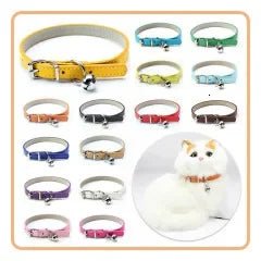 Collier chat cuir anti étranglement - ChatMour
