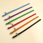 Collier chat cuir anti étranglement - Vignette | ChatMour