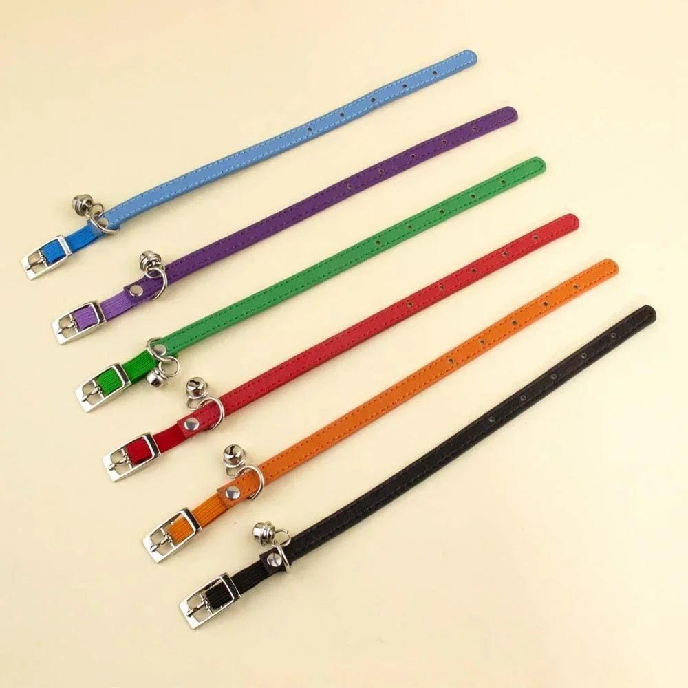 Collier chat cuir anti étranglement - ChatMour