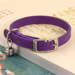 Collier chat cuir anti étranglement - Vignette | ChatMour