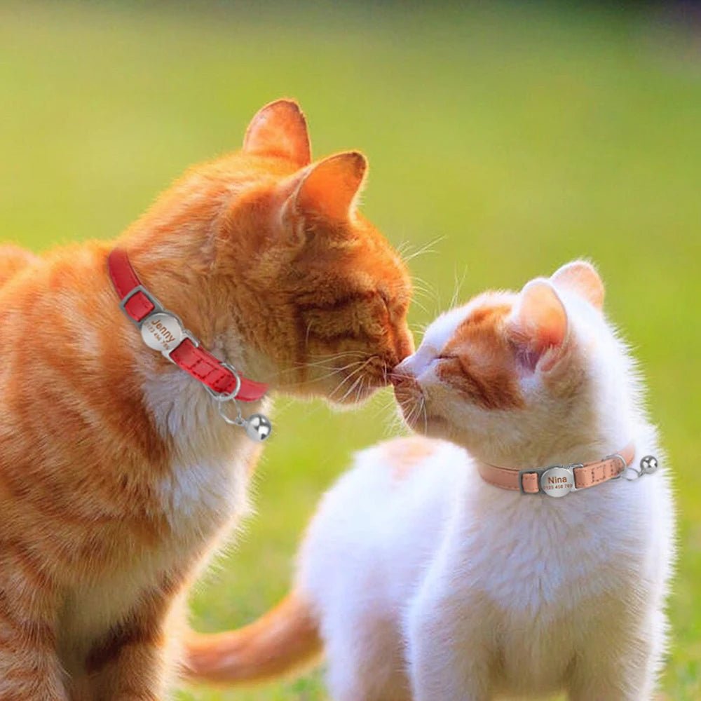 Collier chat cuir personnalisé - ChatMour