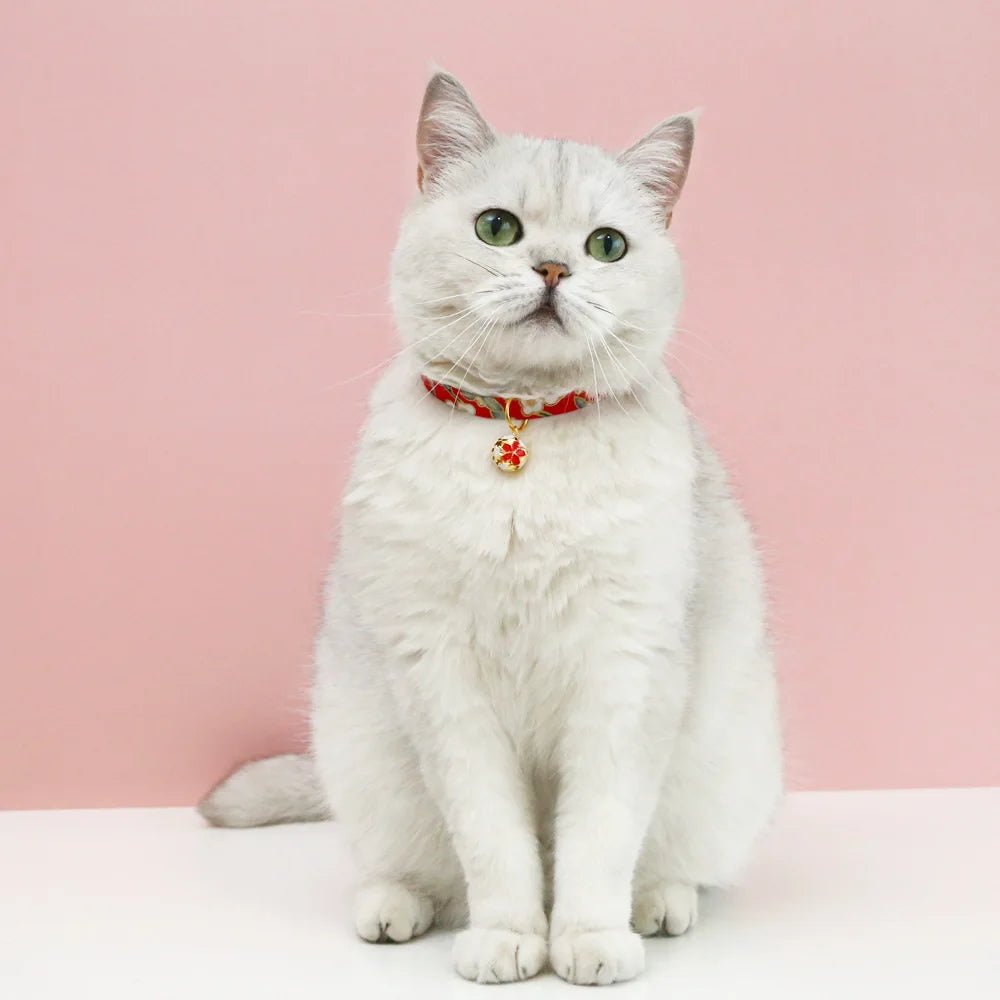 Collier chat femelle - ChatMour