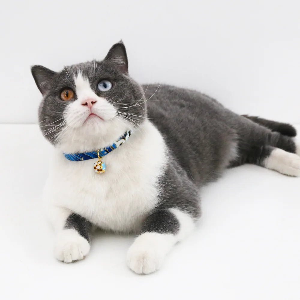 Collier chat femelle - ChatMour