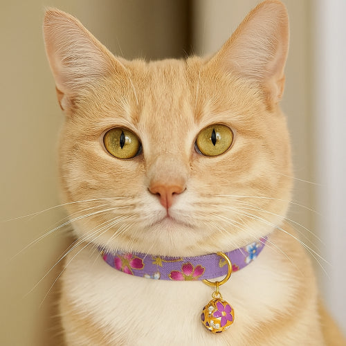 Collier chat femelle  violet fleur 