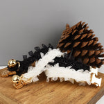 Collier chat gravé - Vignette | ChatMour