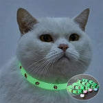 Collier chat lumineux - Vignette | ChatMour