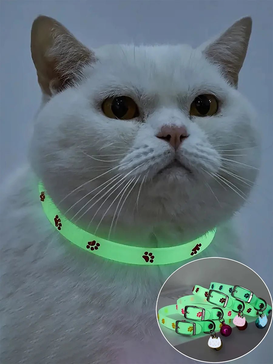 Collier chat lumineux - ChatMour