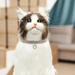 Collier chat luxe - Vignette | ChatMour