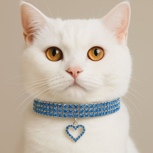 Collier chat luxe cœur bleu 