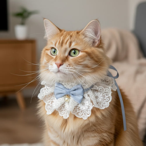 Collier chat nœud papillon  bleu ciel 