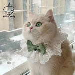 Collier chat nœud papillon - Vignette | ChatMour