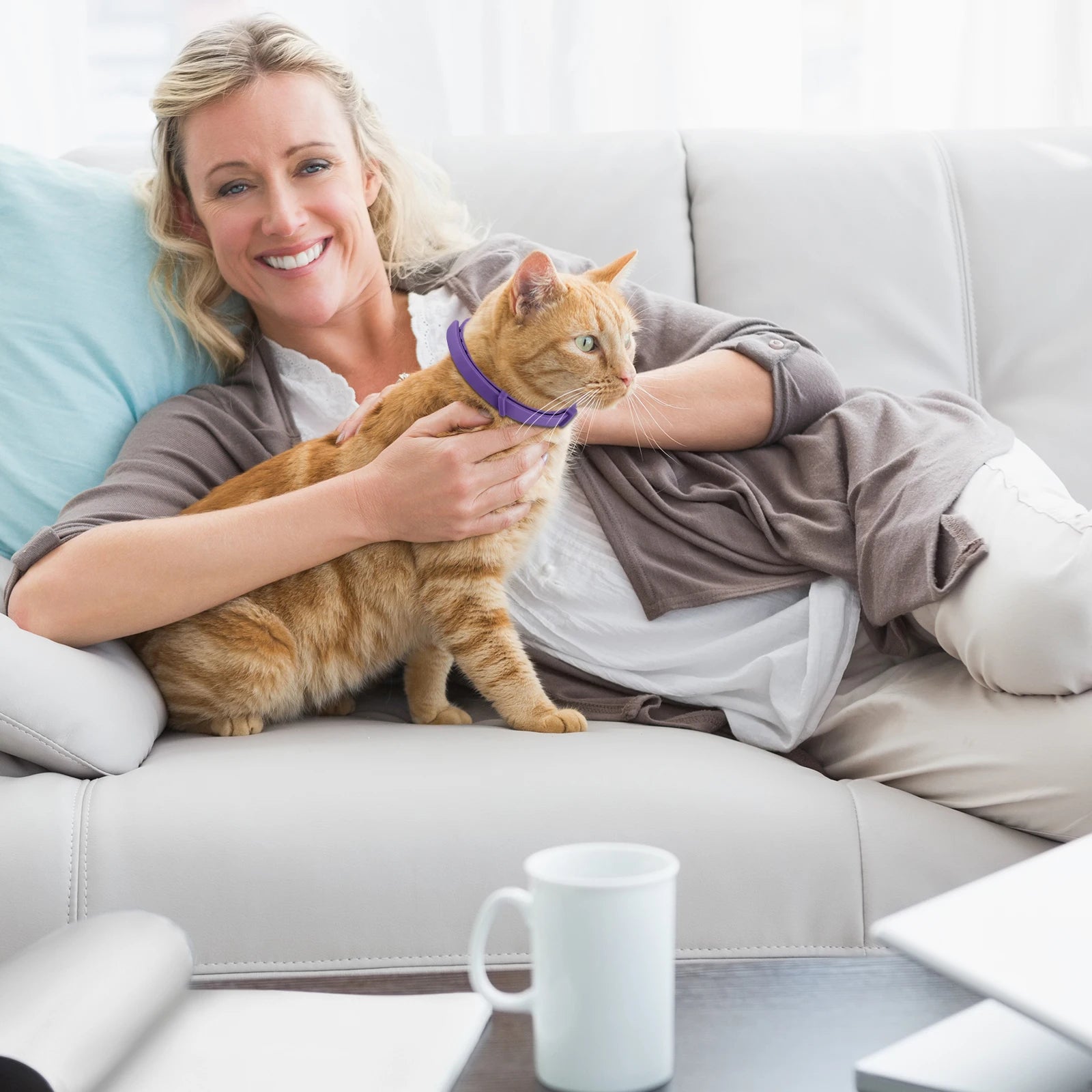 Collier phéromone chat - ChatMour