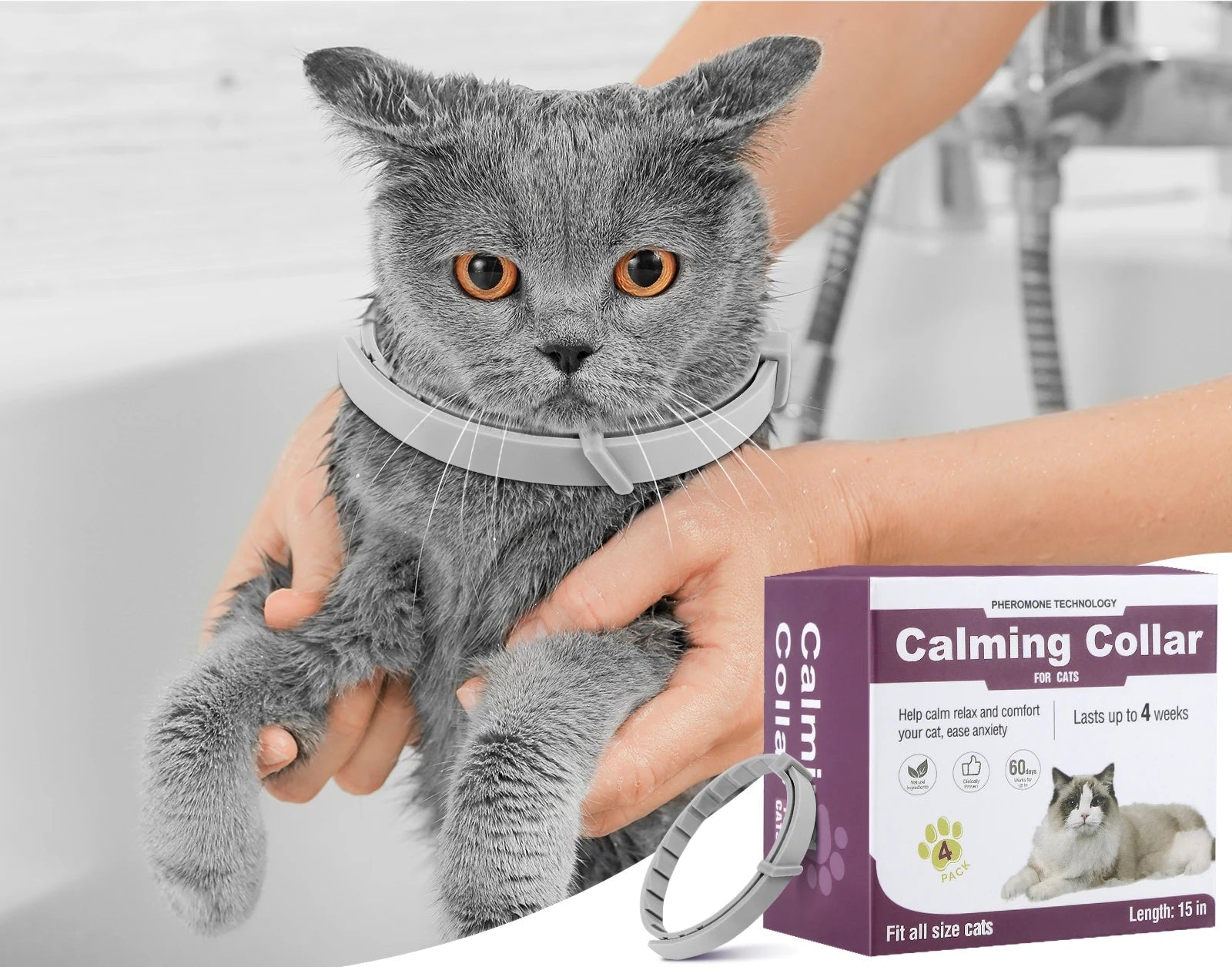 Collier phéromone chat - ChatMour