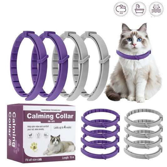 Collier phéromone chat - ChatMour