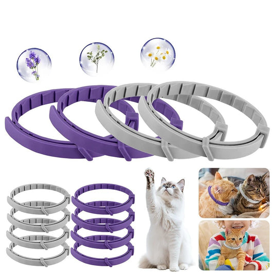 Collier phéromone chat - ChatMour