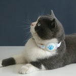 Collier pour GPS pour chat sans abonnement - Vignette | ChatMour