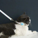 Collier pour GPS pour chat sans abonnement - Vignette | ChatMour