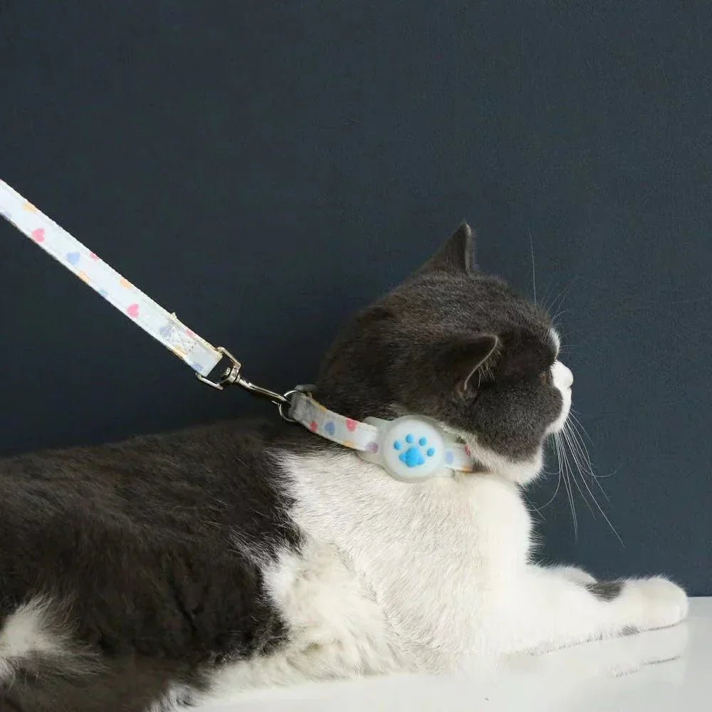 Collier pour GPS pour chat sans abonnement - ChatMour