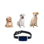 Collier pour chat géolocalisable - Vignette | ChatMour