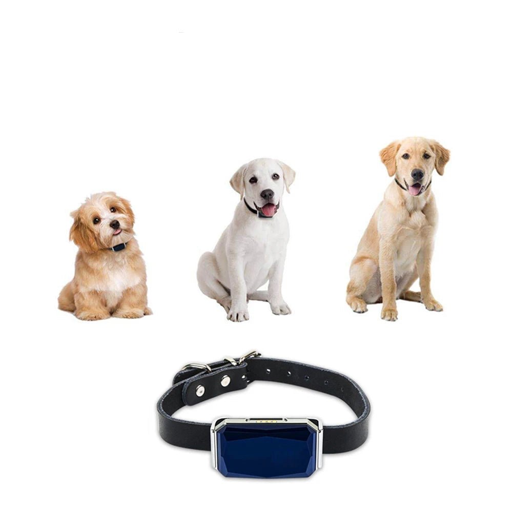 Collier pour chat géolocalisable - ChatMour