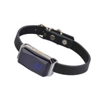 Collier pour chat géolocalisable - Vignette | ChatMour