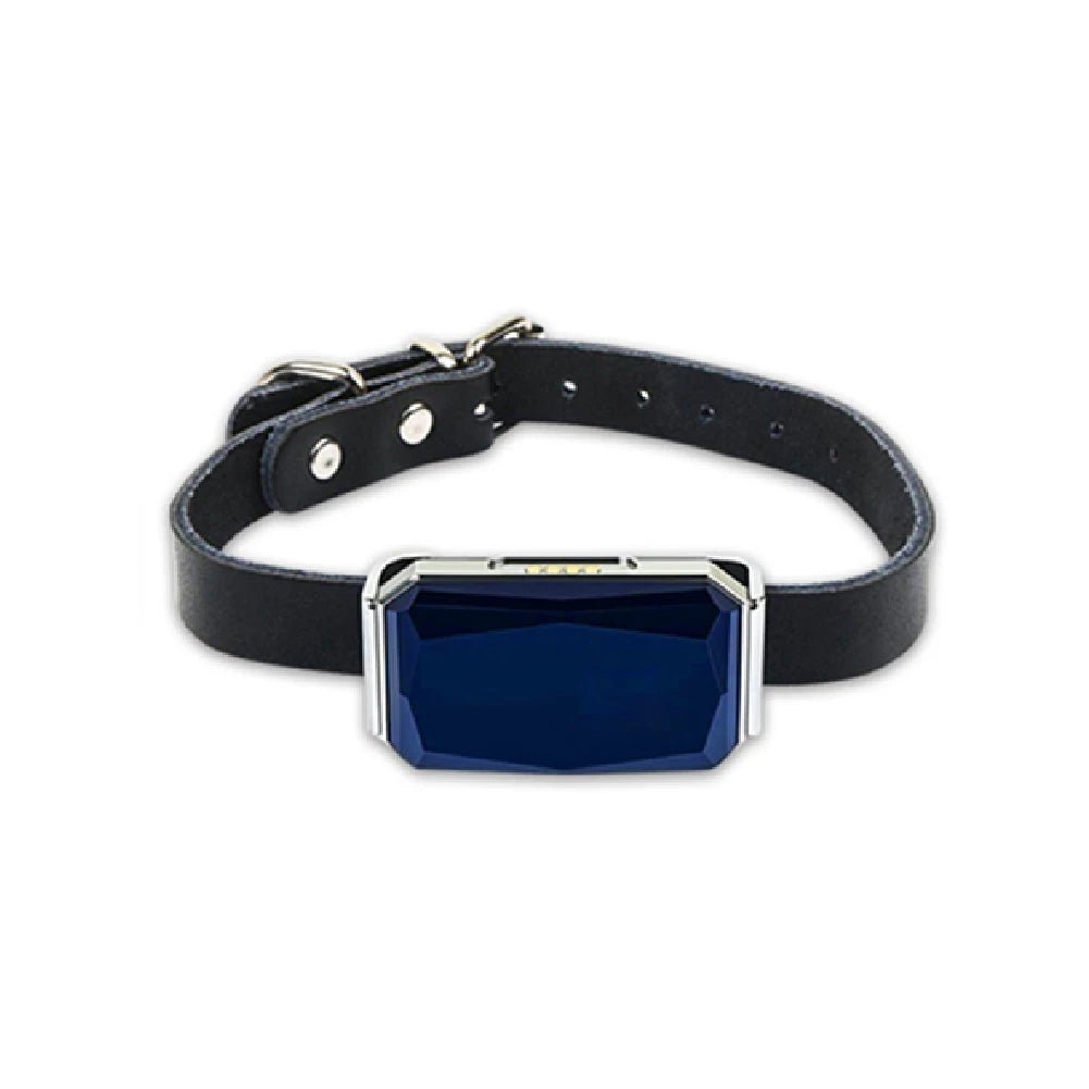 Collier pour chat géolocalisable - ChatMour