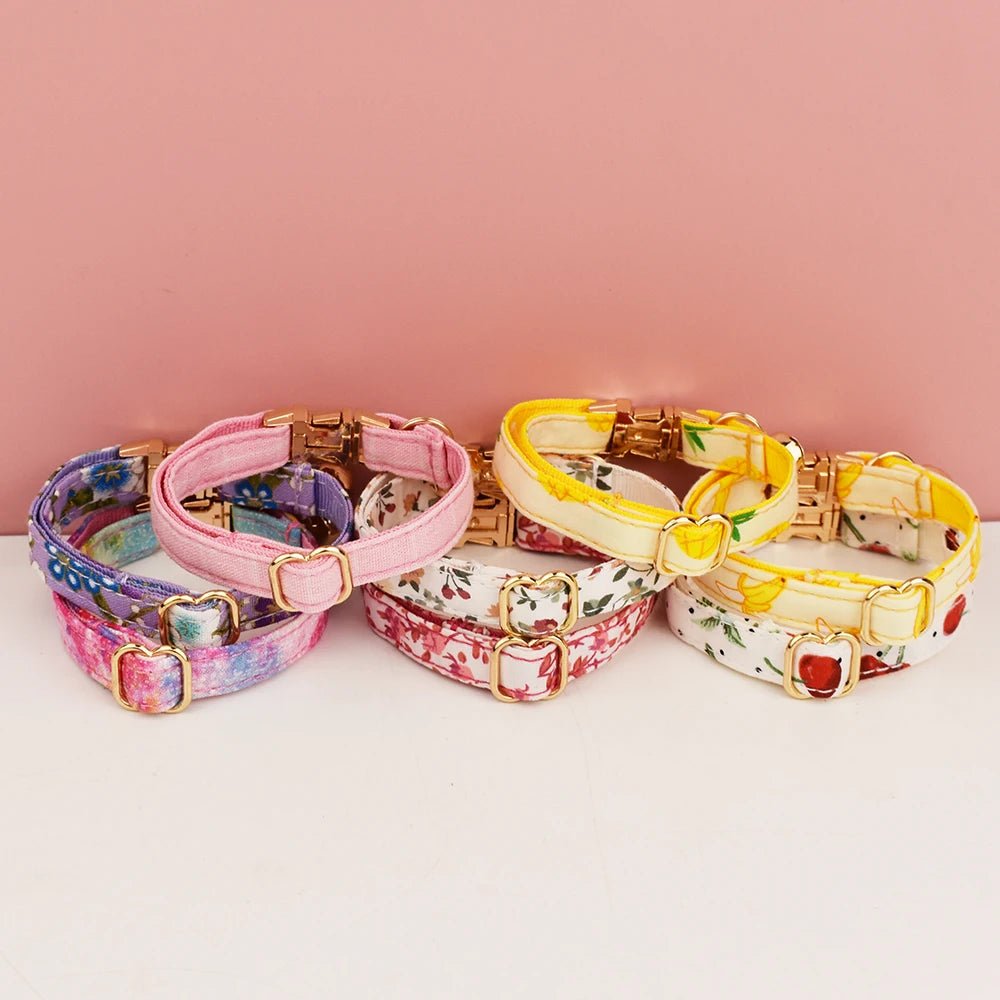 Collier pour chat gravé personnalisé - ChatMour