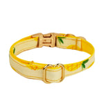 Collier pour chat gravé personnalisé - Vignette | ChatMour