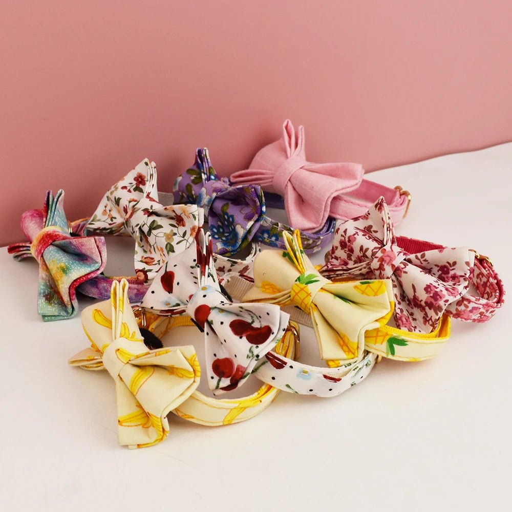 Collier pour chat gravé personnalisé - ChatMour