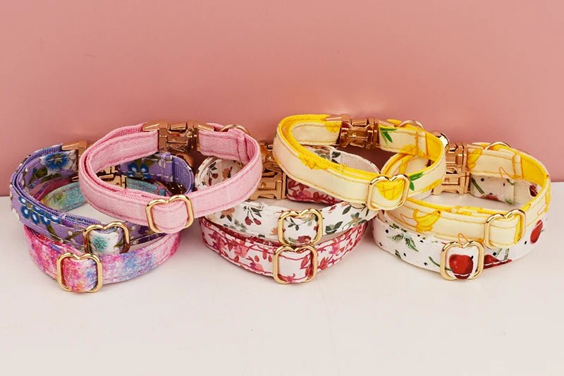 Collier pour chat gravé personnalisé - ChatMour