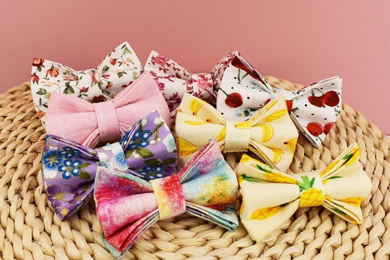 Collier pour chat gravé personnalisé - ChatMour