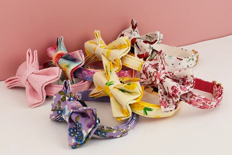 Collier pour chat gravé personnalisé - ChatMour