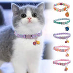 Collier pour chat - Vignette | ChatMour