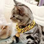 Collier pour chat male - Vignette | ChatMour
