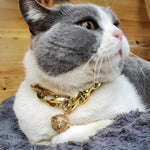 Collier pour chat male - Vignette | ChatMour
