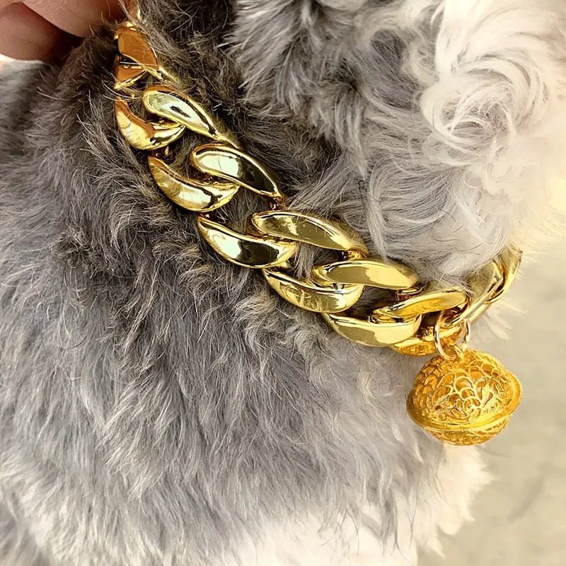 Collier pour chat male - ChatMour