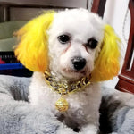 Collier pour chat male - Vignette | ChatMour