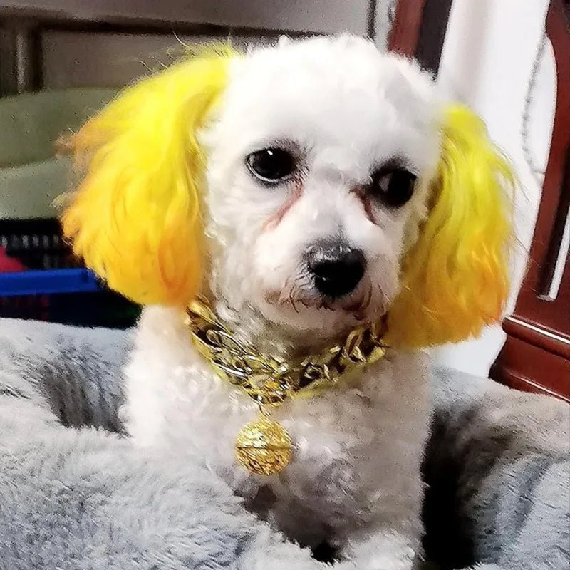 Collier pour chat male - ChatMour