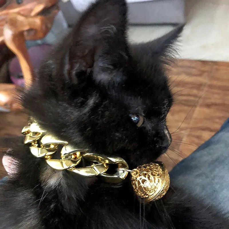 Collier pour chat male - ChatMour