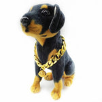 Collier pour chat male - Vignette | ChatMour