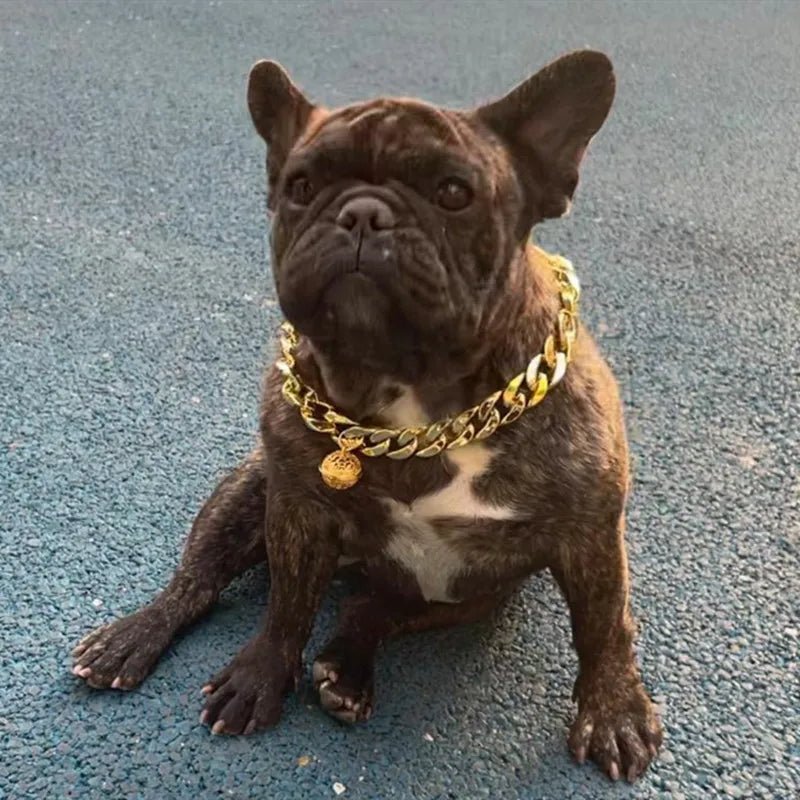 Collier pour chat male - ChatMour